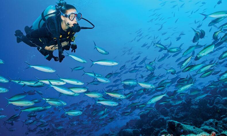 Wa Ale protected island sustainable tourism