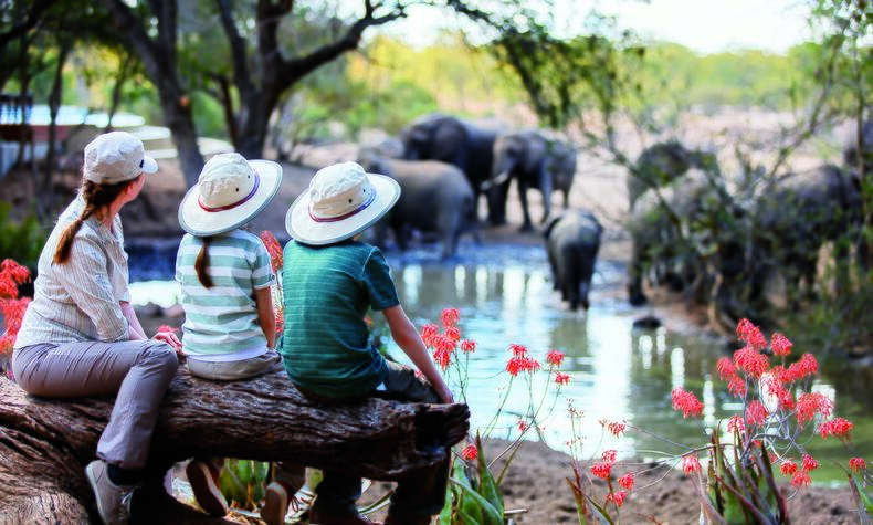 family travel experience luxury adventure