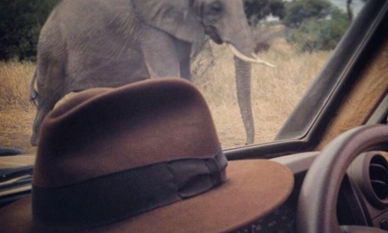 The Fedora hat is the faithful companion of this archaeologist and naturalist on his safaris and expeditions. Photos: Jordi Serrallonga. Jordi Serrallonga, archaeologist and naturalist