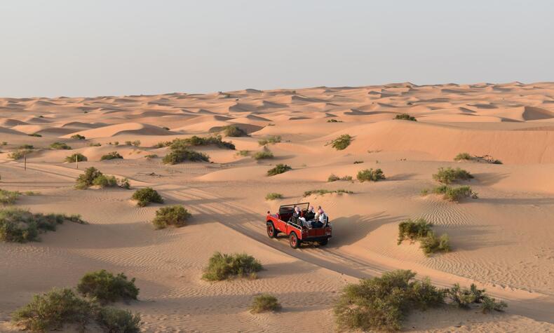 Dubai Desert Conservation Reserve is UAE's first national park. luxury 4x4 desert safari Dubai