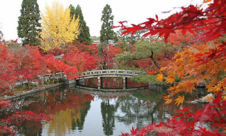 autumn nature getaway trip