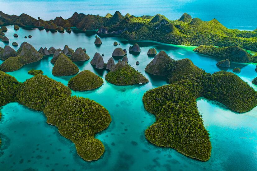The natural paradise of the Sea of Flowers and its islands. sea of flowers luxury trip moyo island