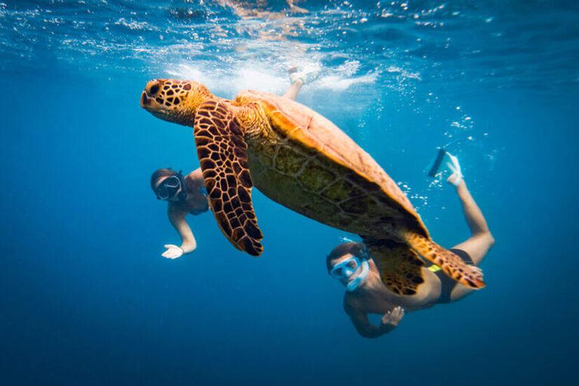 The Cook Islands are the largest marine reserve in the world. luxury travel cook islands
