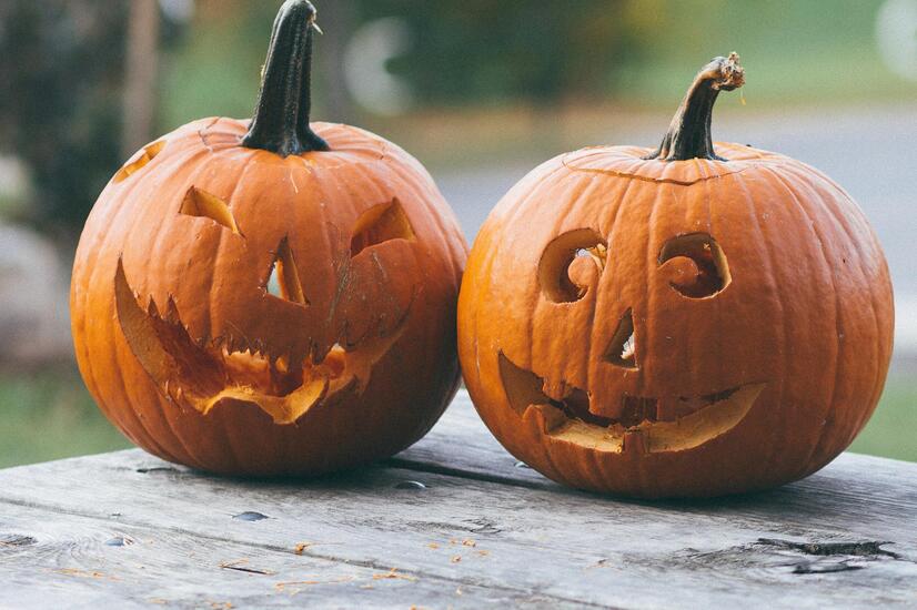 The famous Halloween carved pumpkins, present in every home in the United States on October 31. Photo: Bekir Donmez. halloween pumpkins