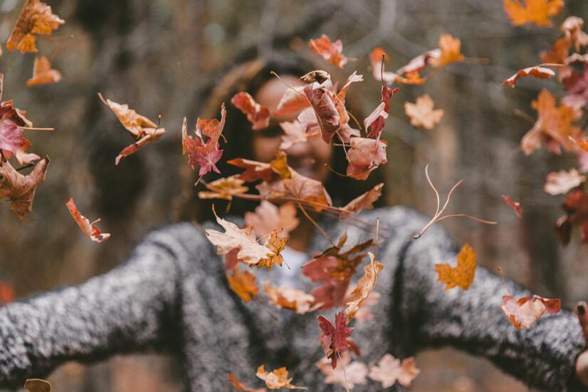 Forest baths promote inner peace and emotional well-being. Photo: Jakob Owens. forest bath