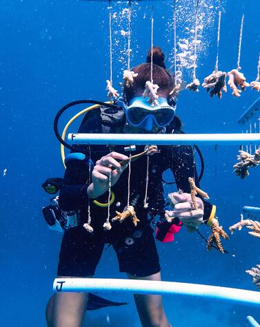 Marine biologists cultivate coral to repopulate reef in Joali. Sustainable luxury resort sustainable nature island beach Joali Maldives