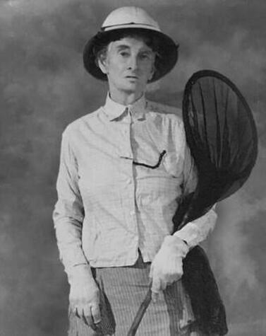 The British naturalist with her inseparable butterfly net. margaret fountaine british naturalist butterflies