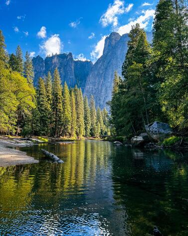 Pure nature in Yosemite National Park. yosemite national park united states