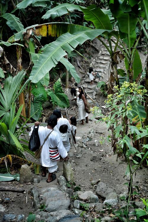 The "Camino del Kogui" is formed by a kilometer-long network of paths and stone stairways that cross the Colombian jungle. remote travel colombia ethnic groups the way of the kogui