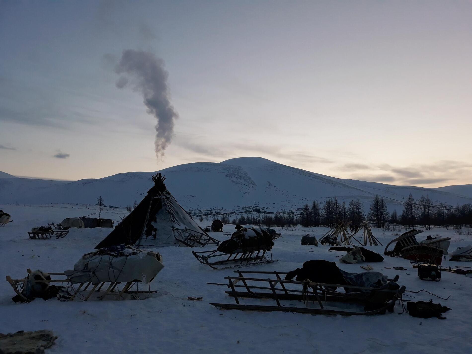 Nenet camp in Siberia. Photo: Francesc Bailón. camp nenet siberian arctic siberia