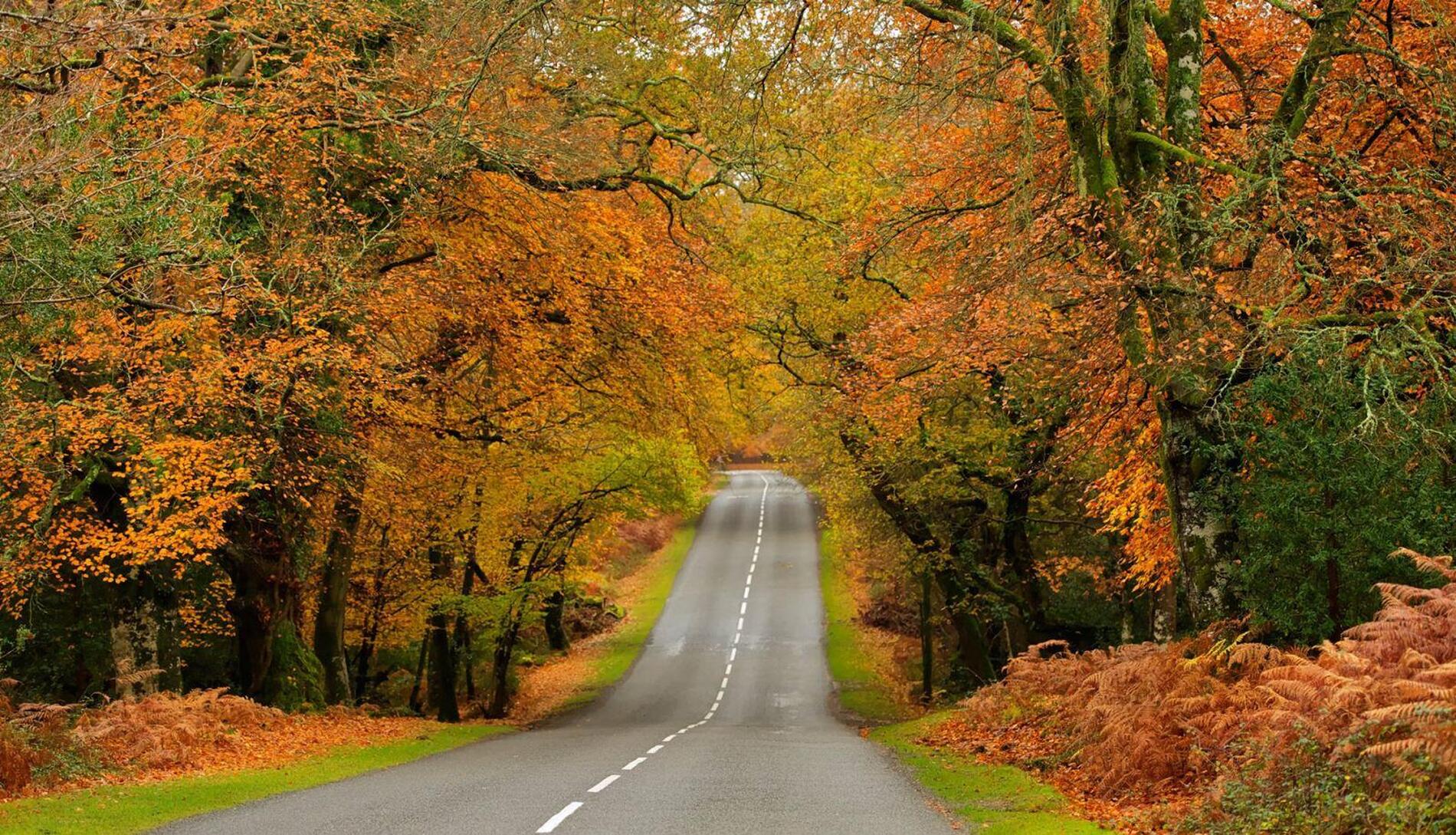 autumn nature getaway trip