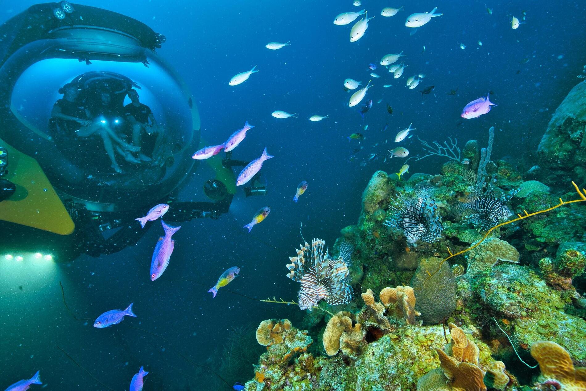 Companies such as U-Boat Worx already manufacture autonomous submersibles for a variety of uses. Photo: U Boat Worx. Companies such as U-Boat Worx are already manufacturing submersibles with various applications