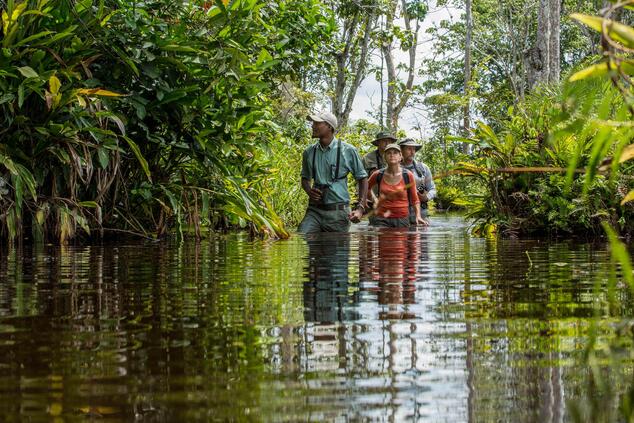We walk in silence and in single file in the direction indicated by the guide. luxury gorilla trekking trip in Rwanda