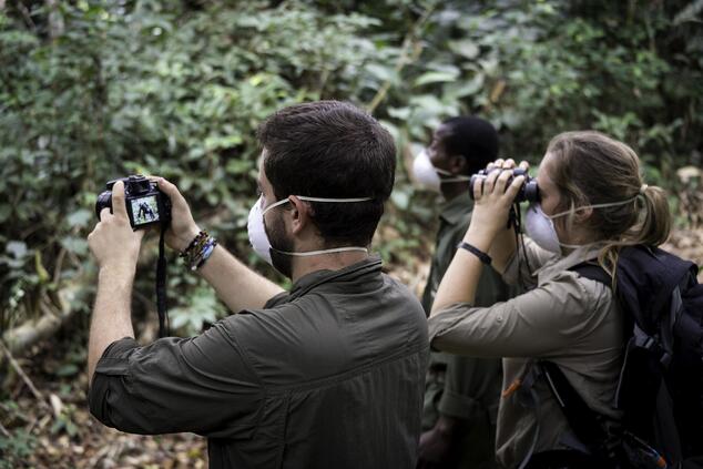 During the trekking it is necessary to wear a mask to protect the gorillas. luxury trekking trip mountain gorillas in Rwanda