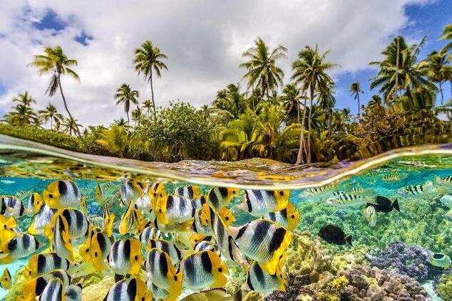 romantic luxury travel remote islands french polynesia.