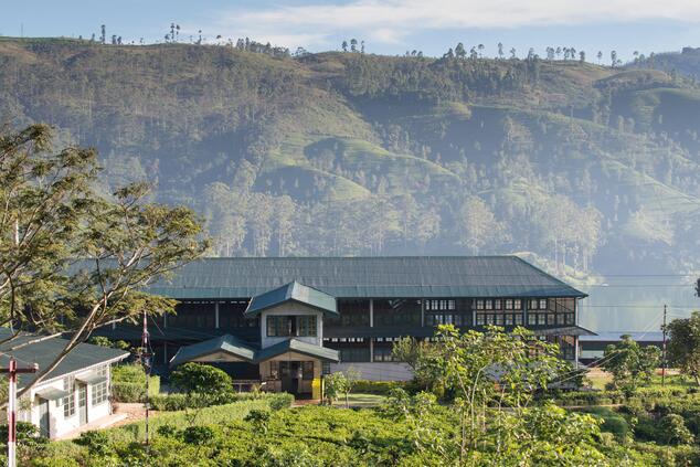 luxury trip sri lanka dunkeld tea factory