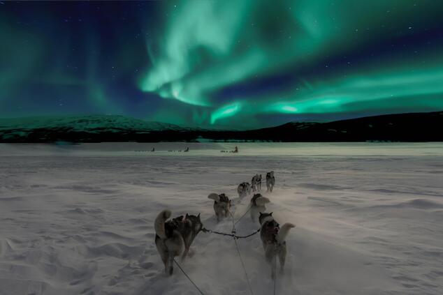 November to April is the best time to observe the northern lights in the Arctic Circle. luxury trip lapland northern lights