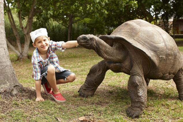 fregate island seychelles turtle land
