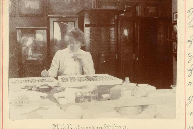 Margaret Fountaine in her studio in England. Photo: Norwich Museum diary margaret fountaine museum norwich