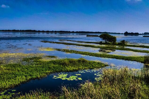 The Everglades National Park covers an area of more than 6,000 km2. Photo: Jayesh Patil. everglades national park united states