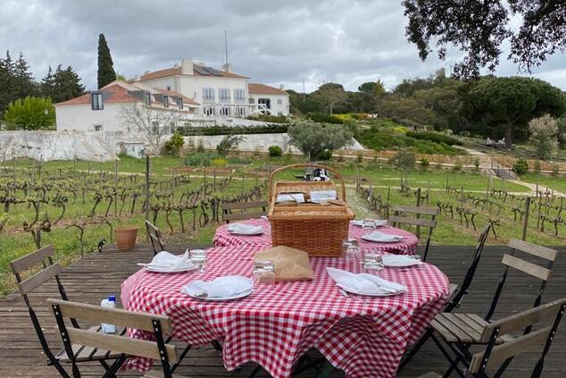 picnic house palmela vineyards.