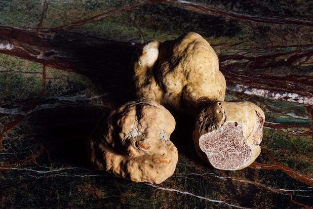 white truffle.
