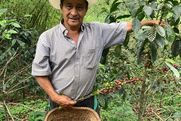 don leo colombia coffee route.