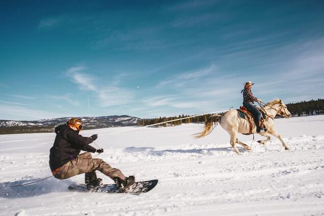 skiing with mountain horses