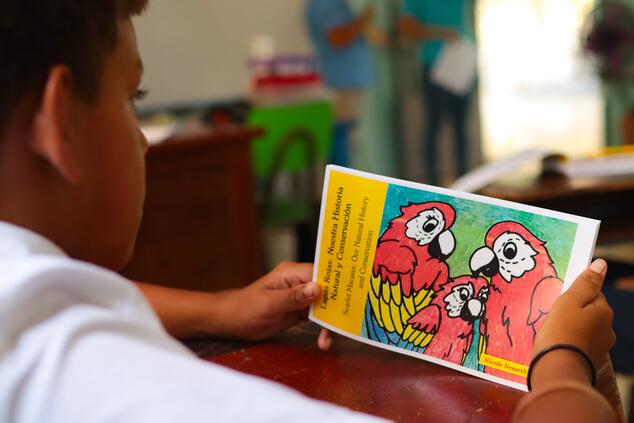 Books on environmental education in schools