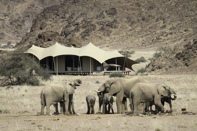 Hoanib Costa Skeletons. Safari Namibia.