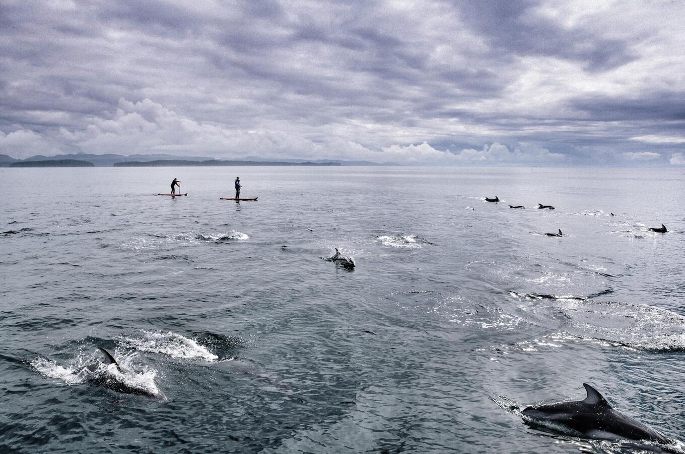 remote luxury travel experience whales in Canada