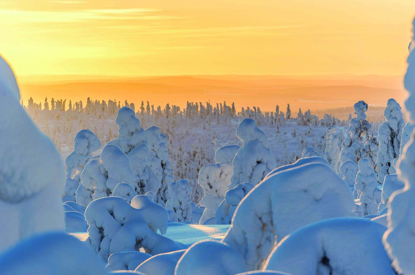 luxury travel experience snowscape in Finland