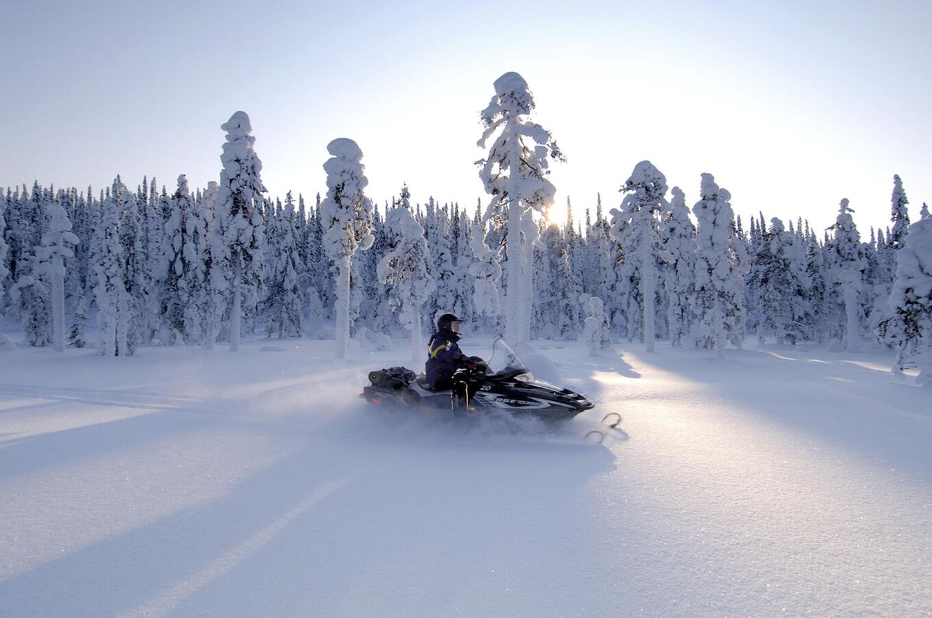 luxury boreal forest snowmobile tour experience