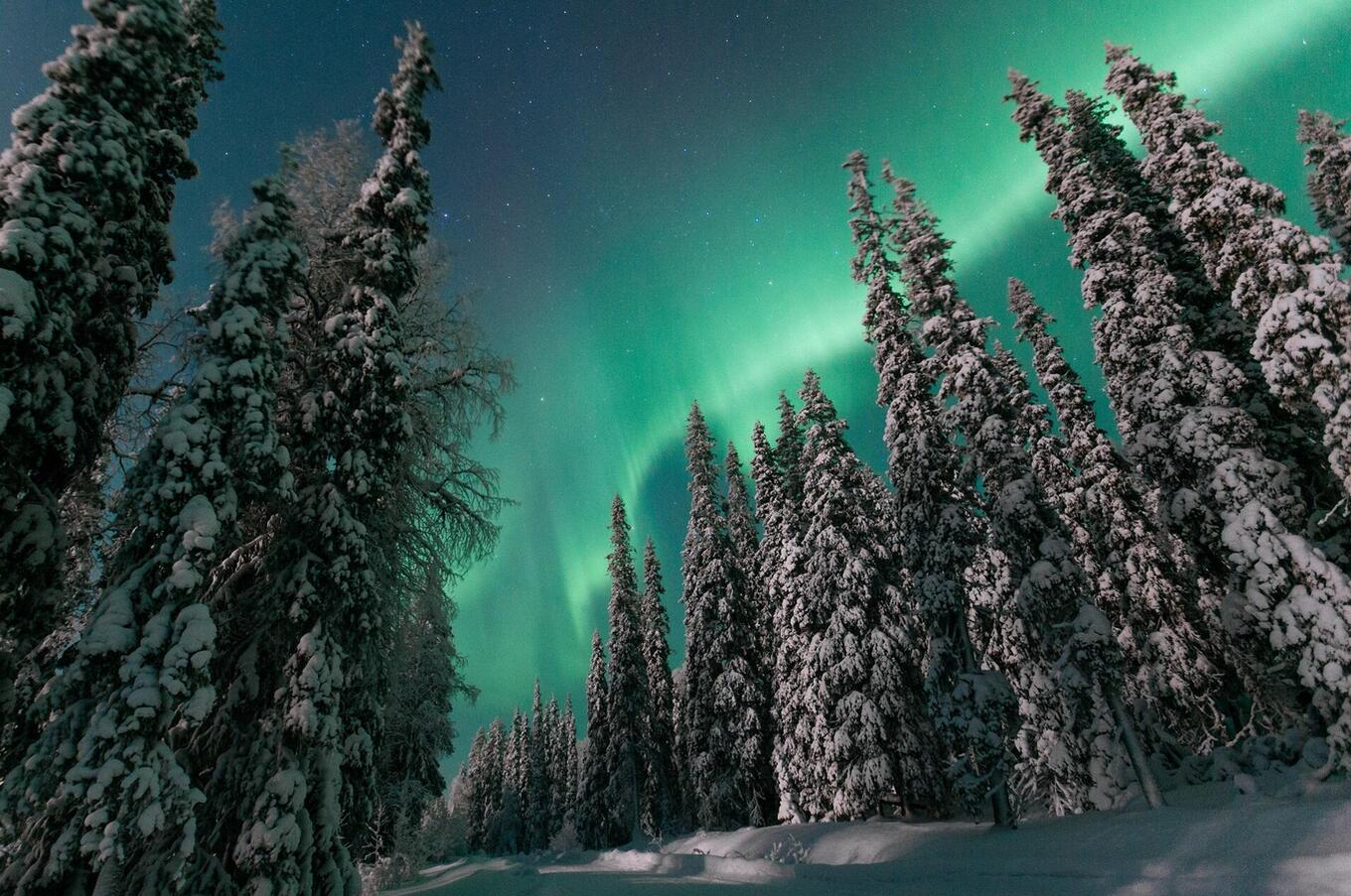 Auroras are formed when particles from solar flares come into contact with the earth's atmosphere. luxury aurora borealis trip sweden