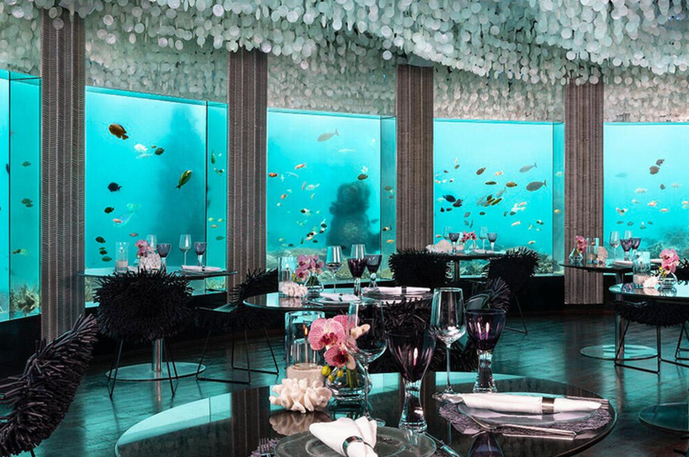 Dine surrounded by the marine ecosystem of the Maldives, accompanied by clownfish, seahorses, rays and even sharks. submarine restaurant subsix