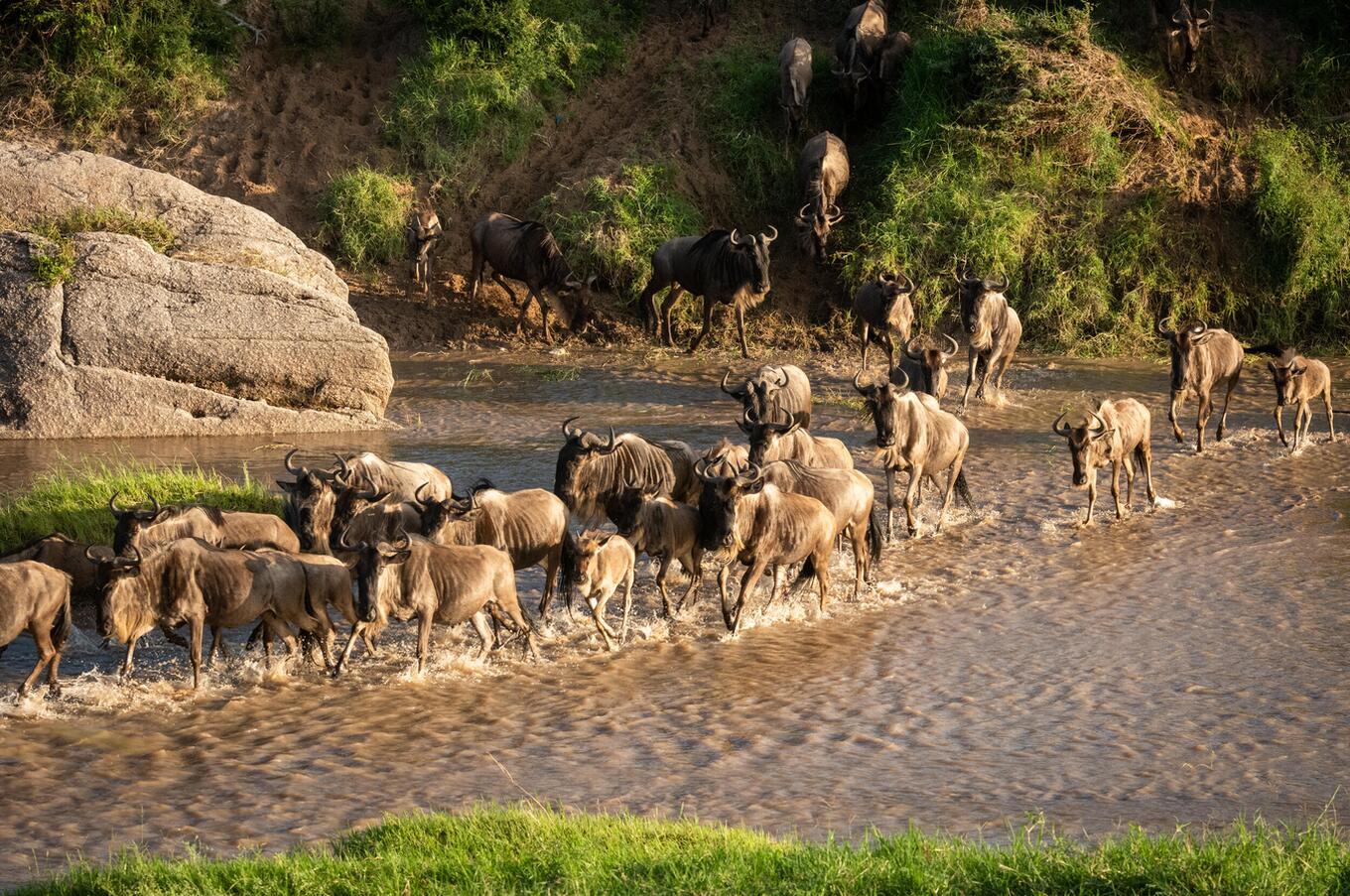 cottar's safari camp kenya masai mara