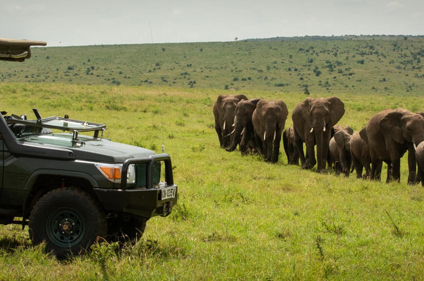 cottar's safari camp kenya masai mara