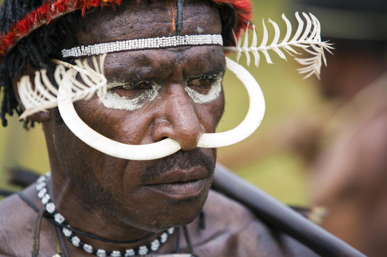papua new guinea tribes
