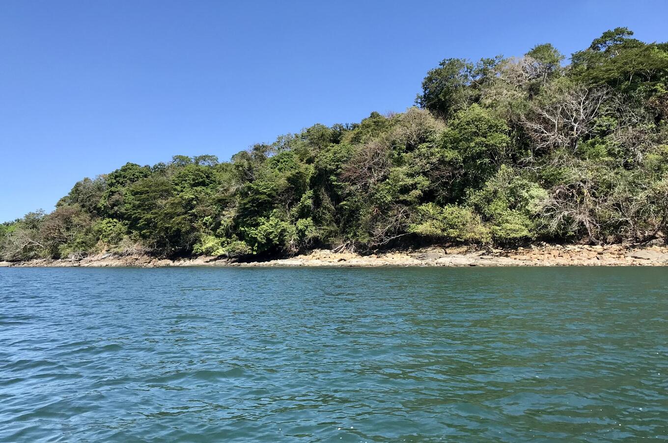 luxury travel panama palenque island