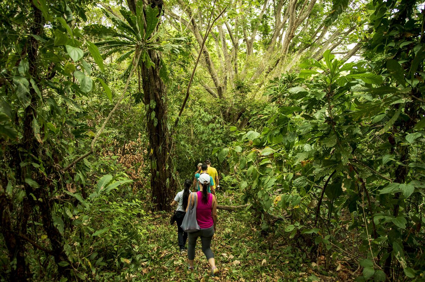 luxury travel panama palenque island