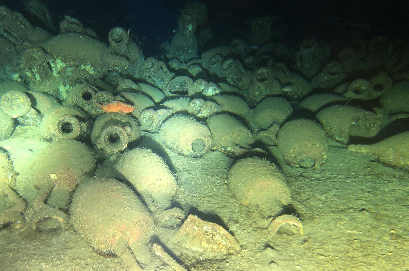 submersible Deep See Ofer Ketter Italia