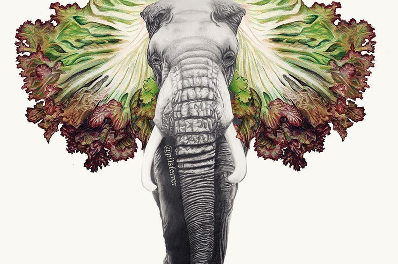 pilsferrer illustrator collage