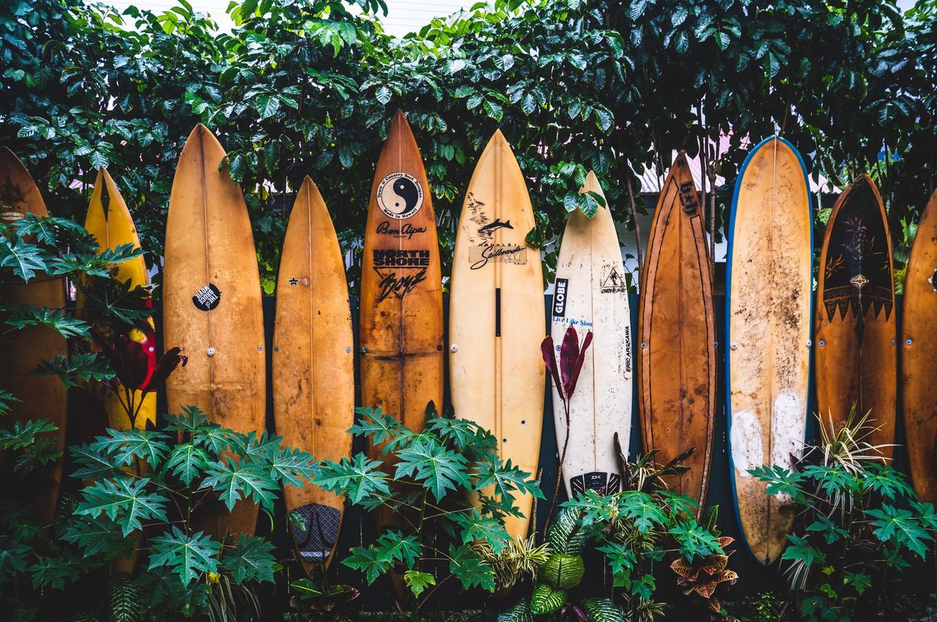 luxury and adventure trip to Hawaii