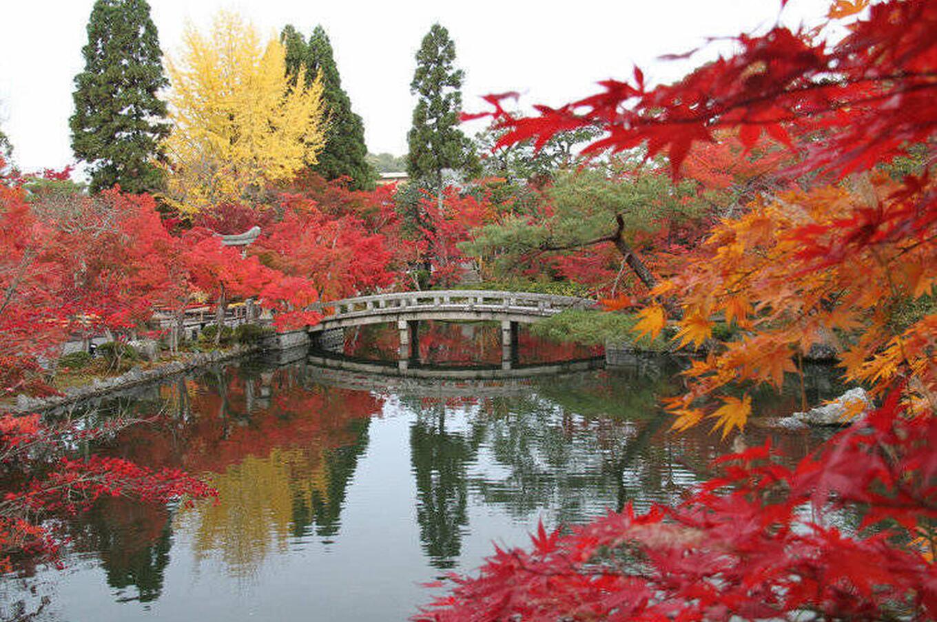 tokyo temple japan