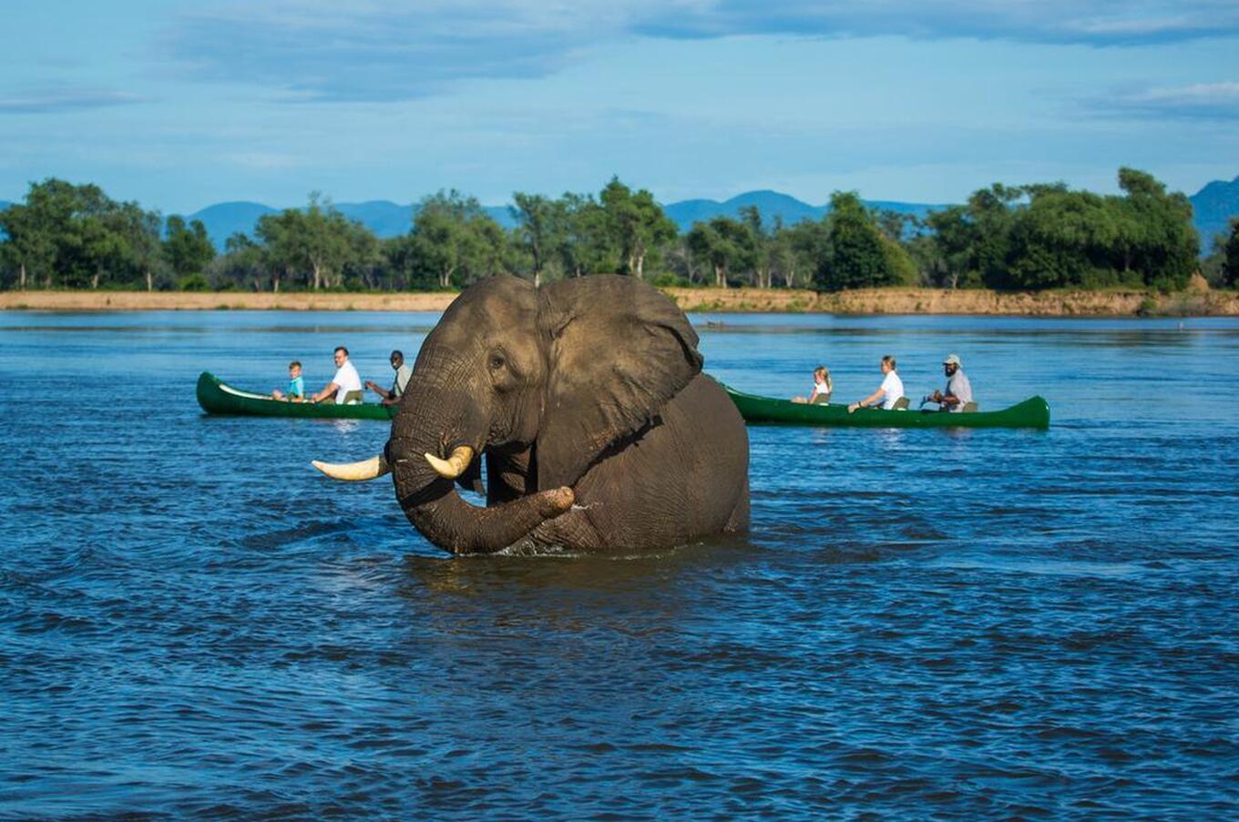 Tembo Plains Camp