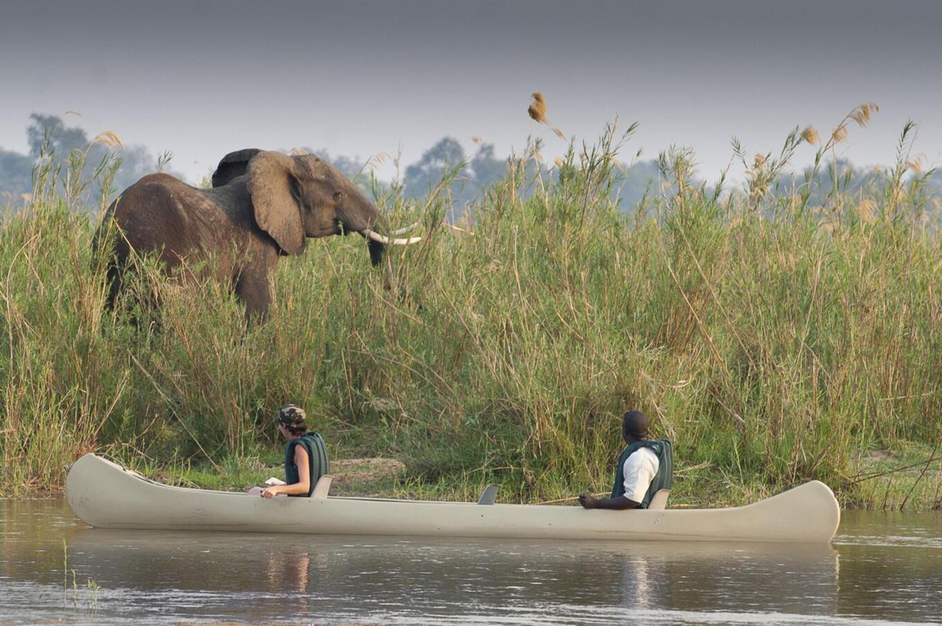 A safari from the water offers a unique perspective.