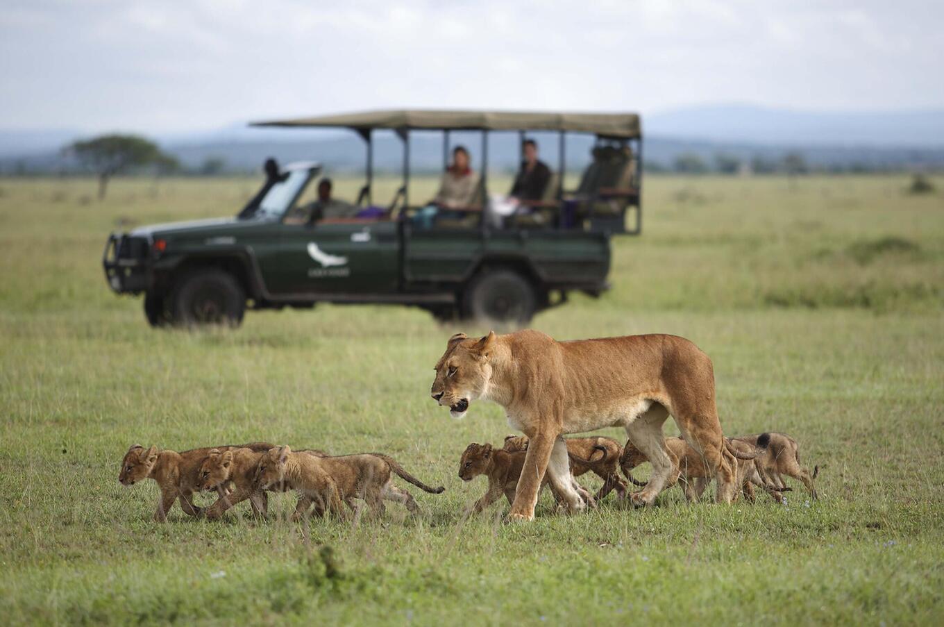 Serengeti River Lodge & Beyond