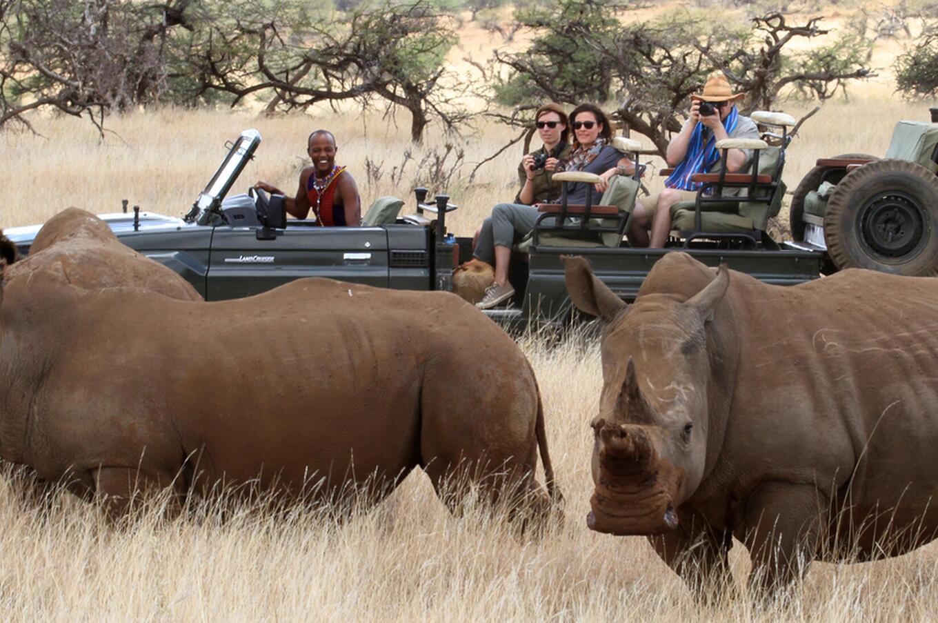 4WD excursion to follow the rhino trail