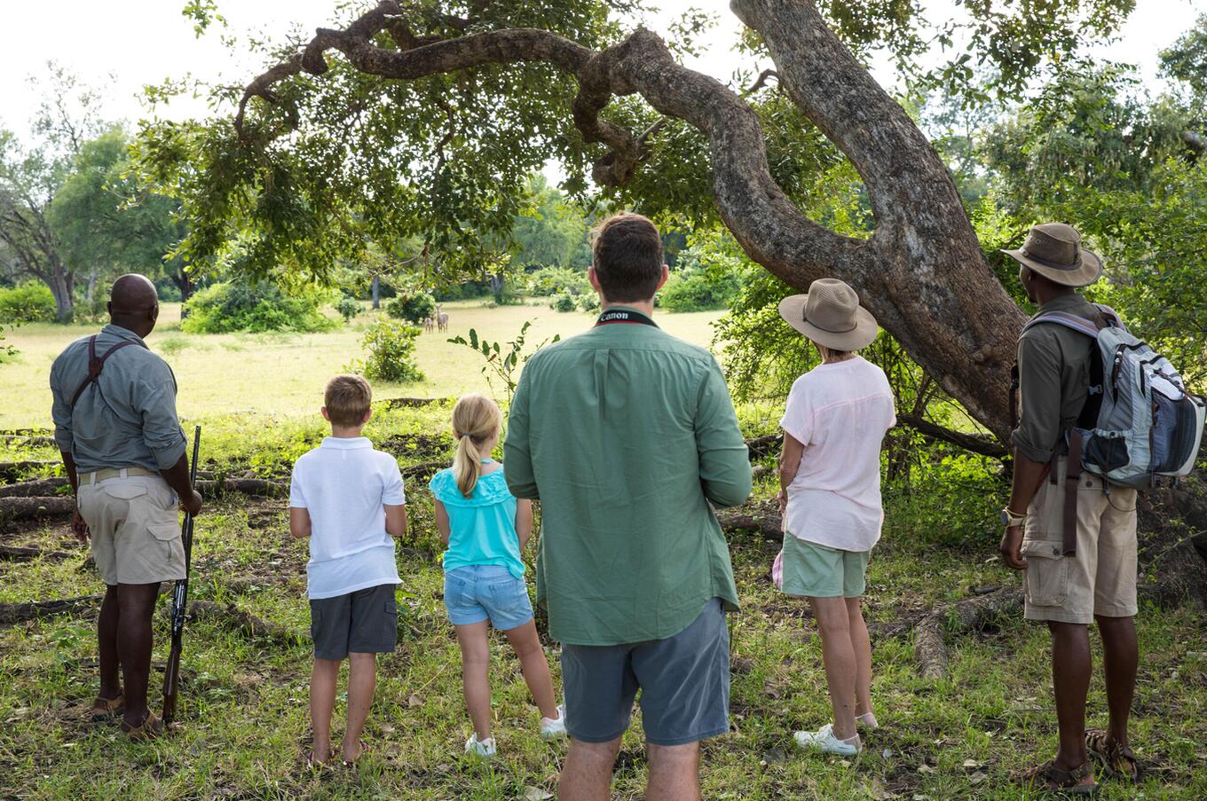 Okavango Explorers Camp