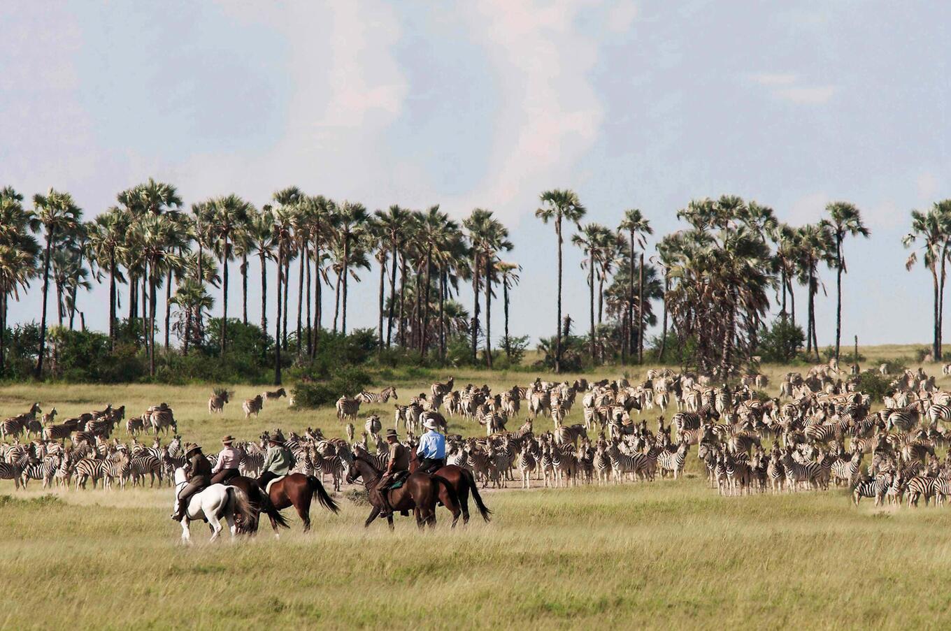 Horseback riding safari in Makgadikgadi salt pan